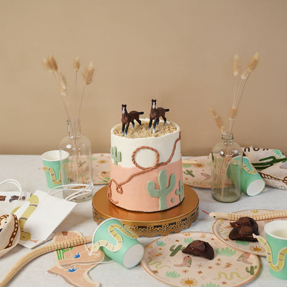 Western Birthday Party Supplies Pack (Serves 12) | Cowboy & Rodeo Themed Kids Party Kit | Plates, Cups & Tableware Set